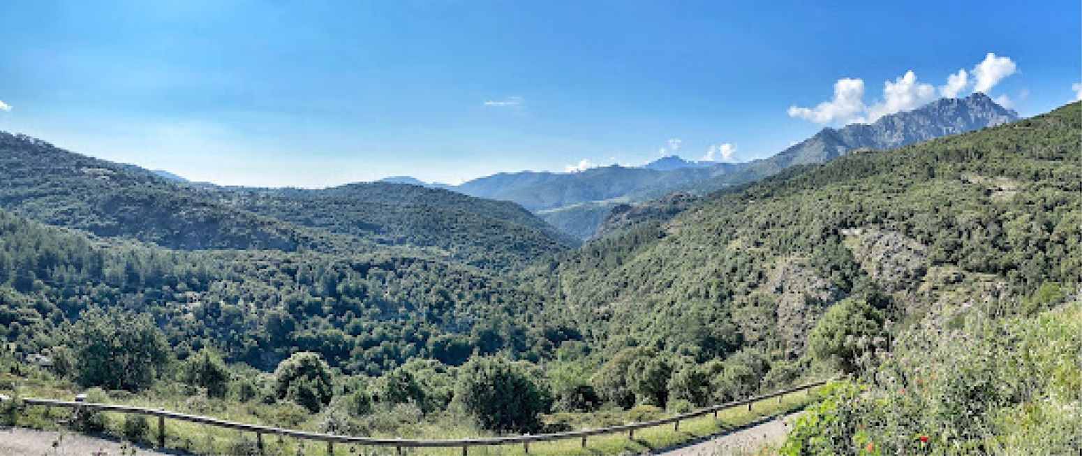 U Pasturellu Restaurant - restaurant PIOGGIOLA